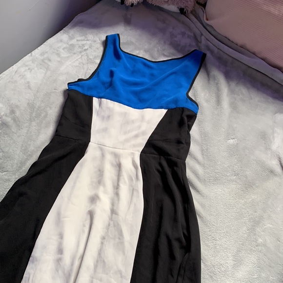 Express Dress - Picture 4 of 4